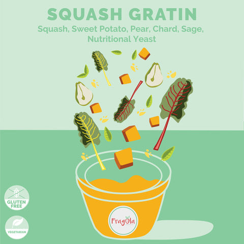 Squash Gratin Info